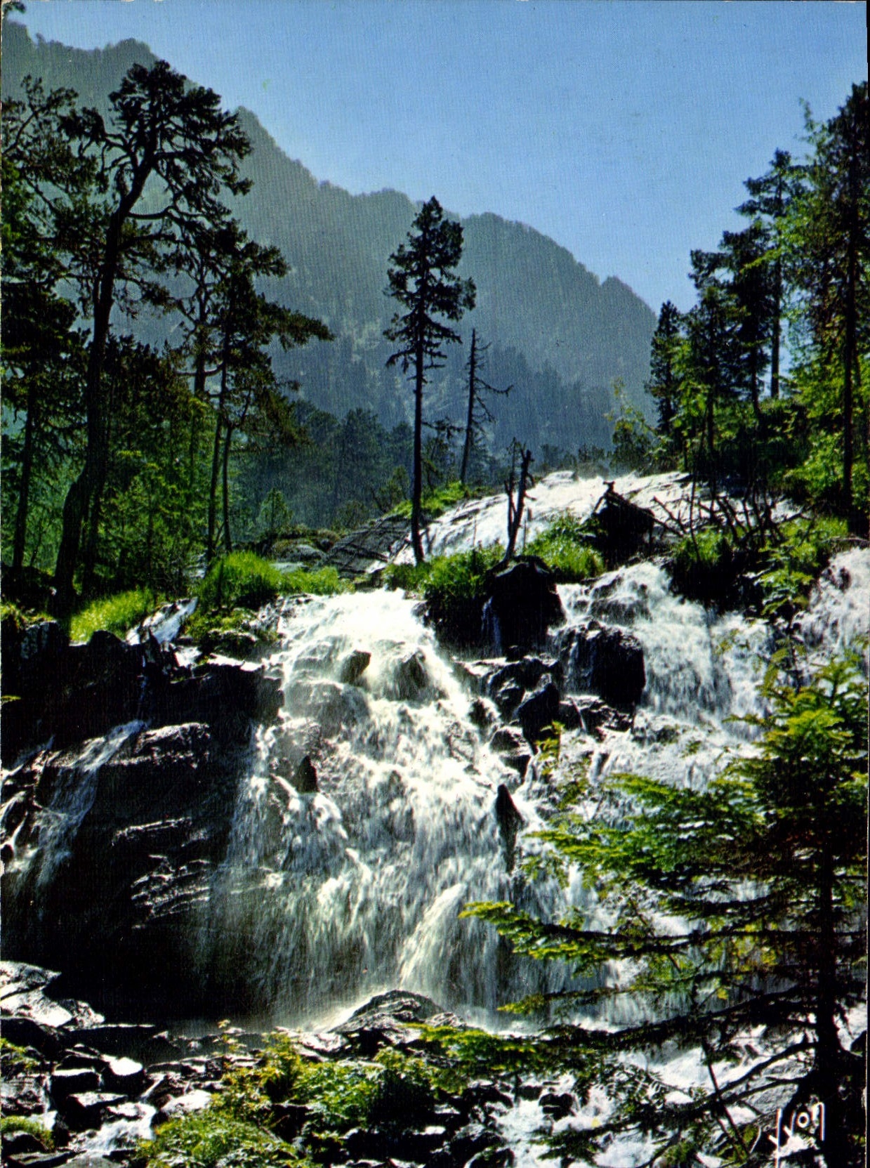 CPM Les Pyrenees Environs de Cauterets hautes Pyrenees cascade au Pont d'Espagne 