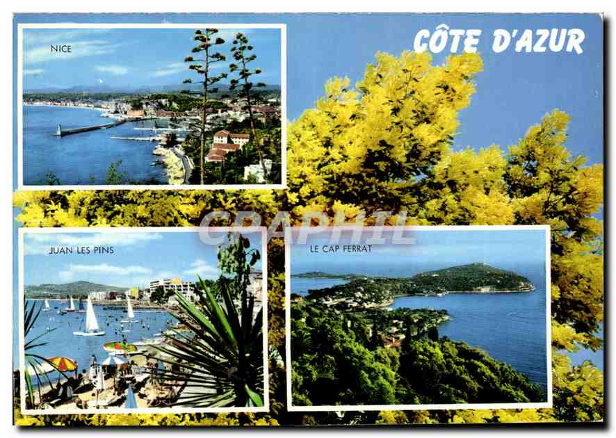 CPM Souvenir de la Cote d'Azur Nice Jean les Pins le Cap Ferrat 