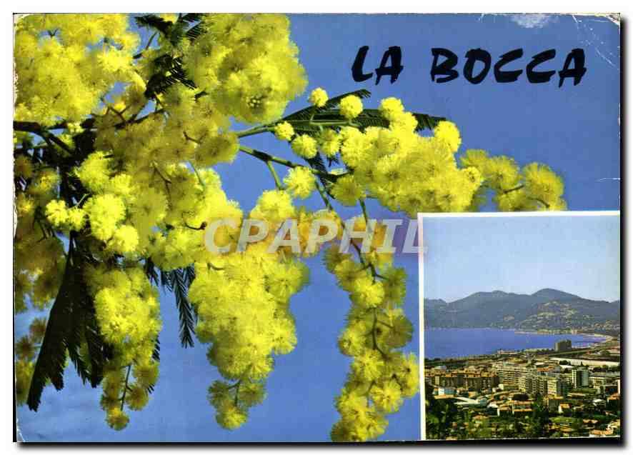 CPM La Bocca Souvenir de la Bocca 