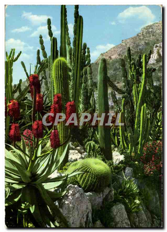 Jardin exotique — Principauté de Monaco — Éditions S.E.P.T. - Nice