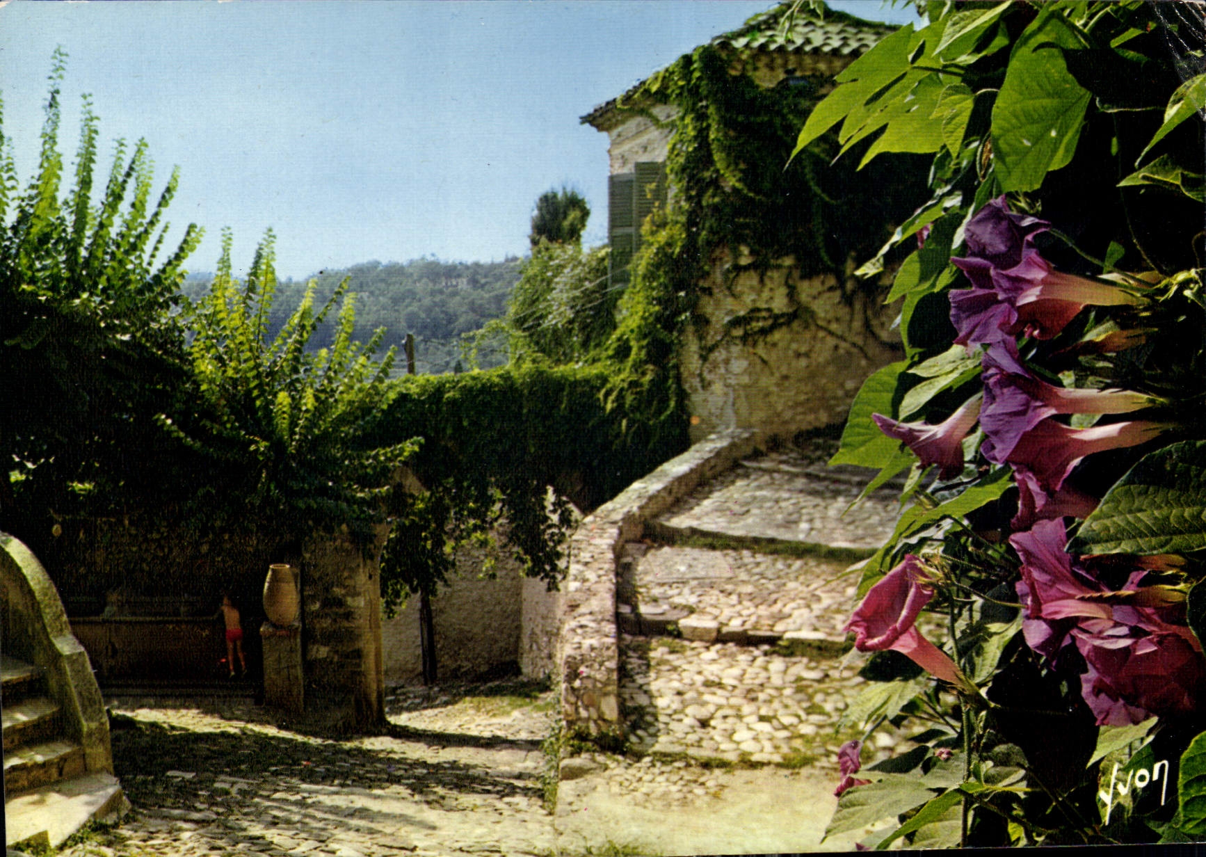 Village provençal — vue de rue pavée avec vigne et fleurs — Éditions d'art de la Côte d'Azur