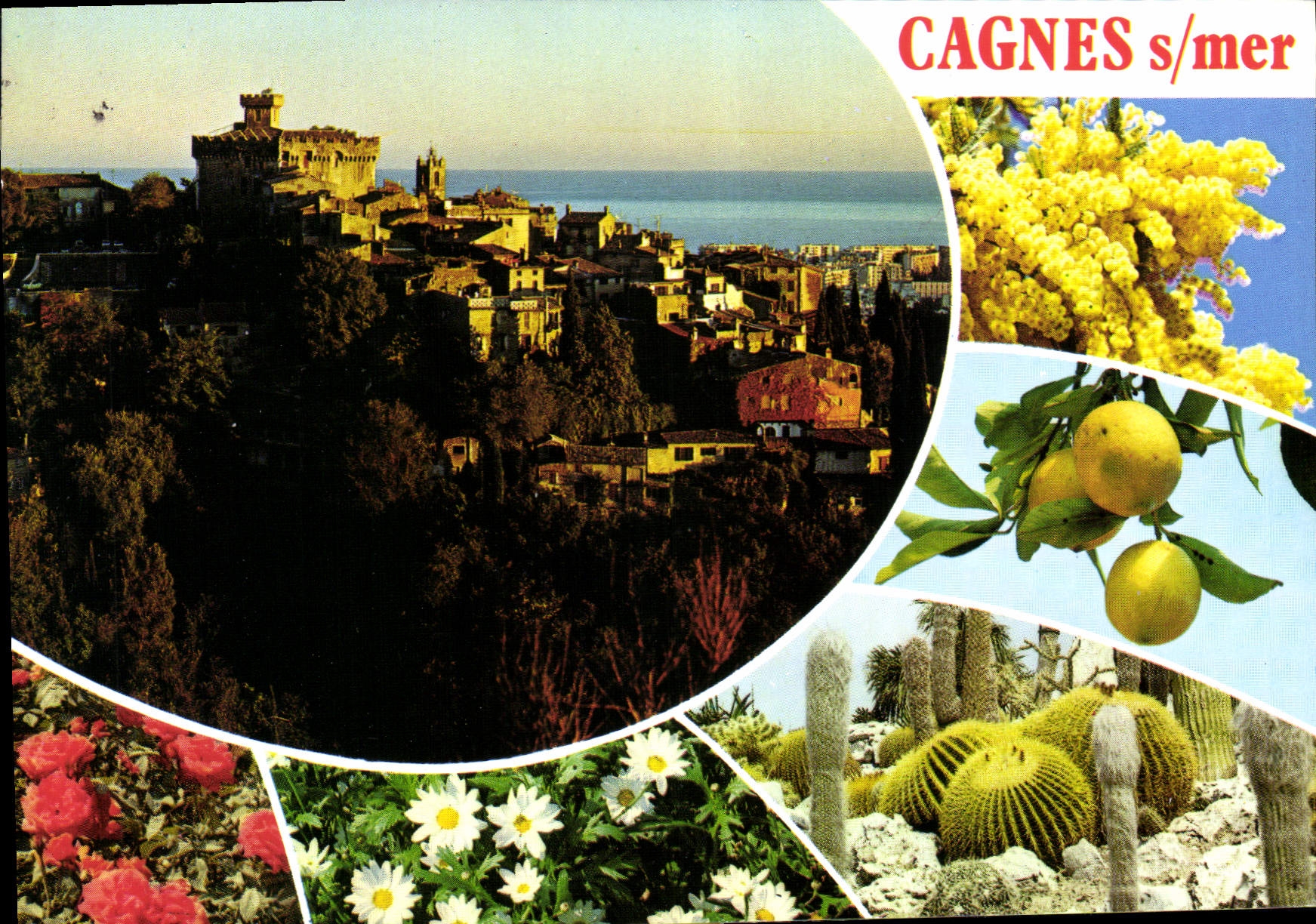 Cagnes s/mer — vue panoramique et fleurs — Éditions Côte d'Azur