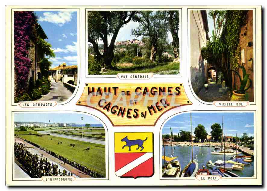CPM Souvenir de la Cote d'Azur 