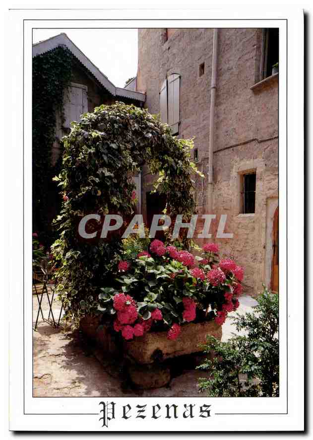 CPM Pezenas Herault Ville d'Art Hostellerie du Bat d'Argent le vieux puit 