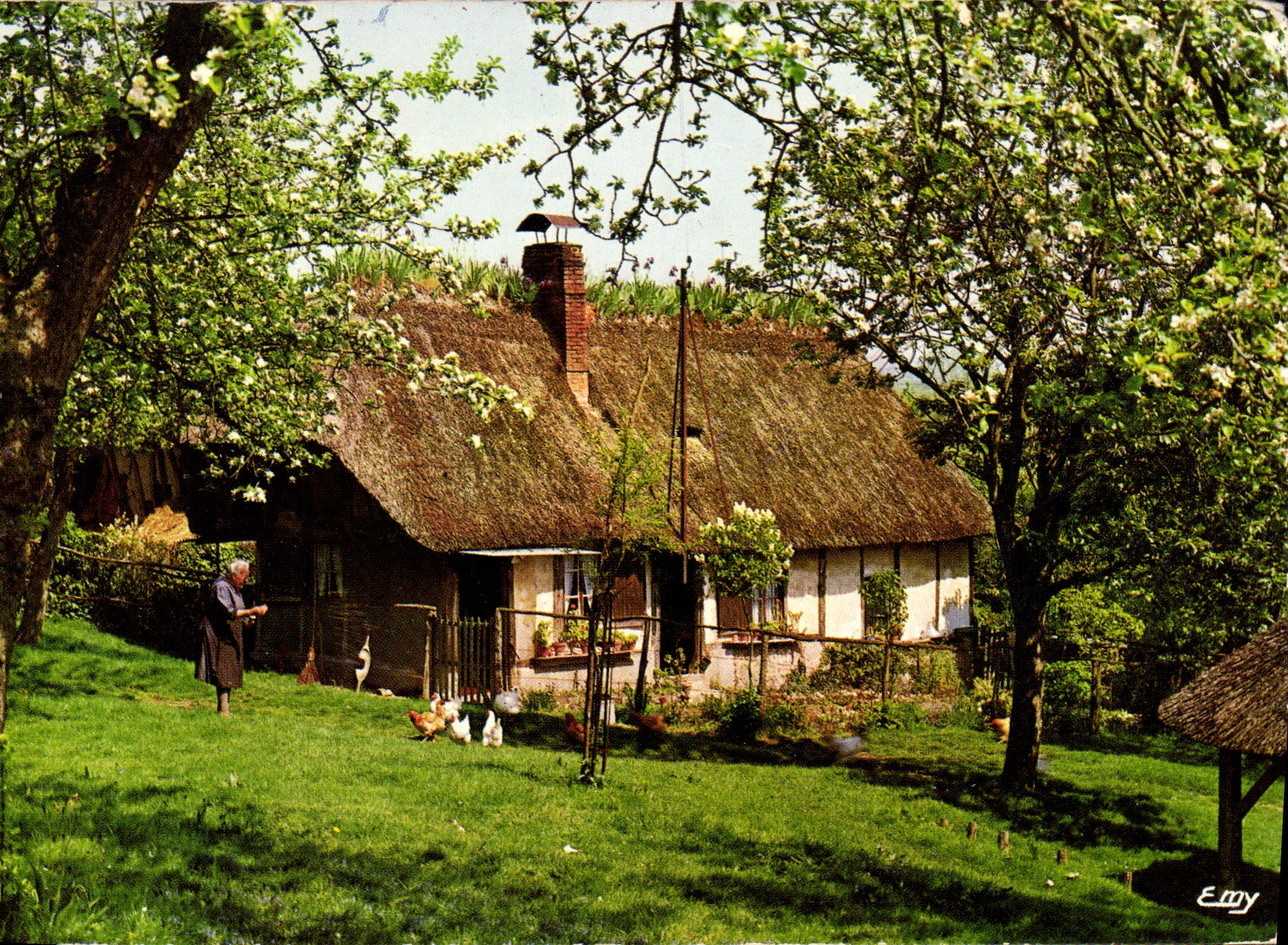 CPM La Normandie pittoresque Chaumiere Normande au printemps 