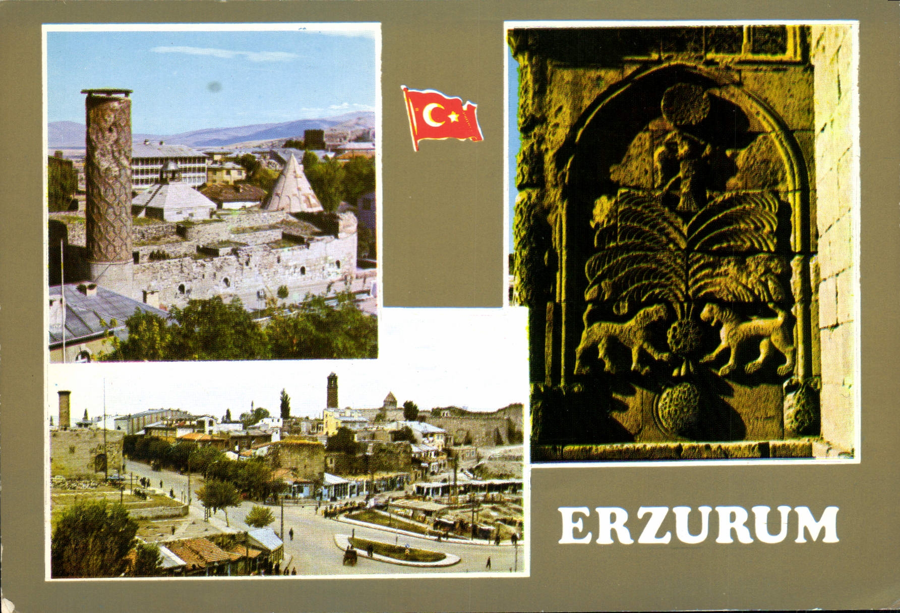 CPM Erzurum 