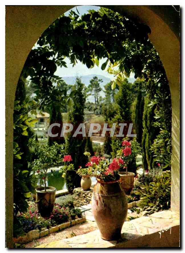 CPM Couleurs et lumiere de France La Cote d'Azur miracle de la nature Jardin Provencal 