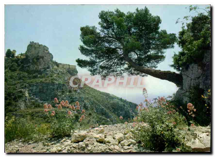 CPM Couleurs et lumiere de France La Cote d'Azur miracle de la nature Eze Alpes Maritimes le village