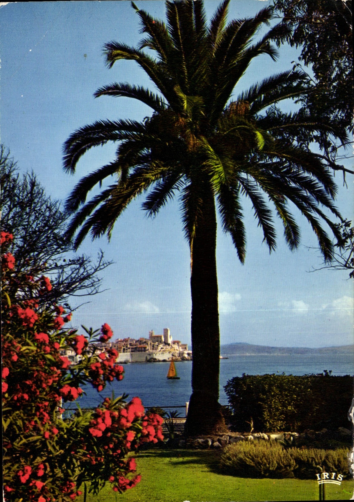 CPM Reflets de la Cote d'Azur Antibes A Mmes la vieille Cite dans ses Remparts 
