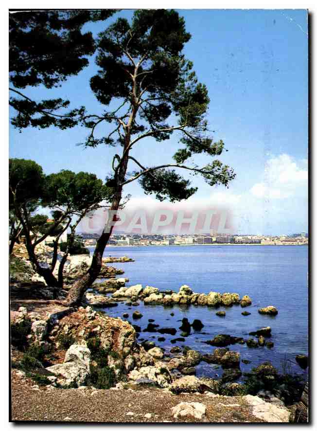 CPM Cote d'Azur Cap d'Antibes Panorama sur Antibes 