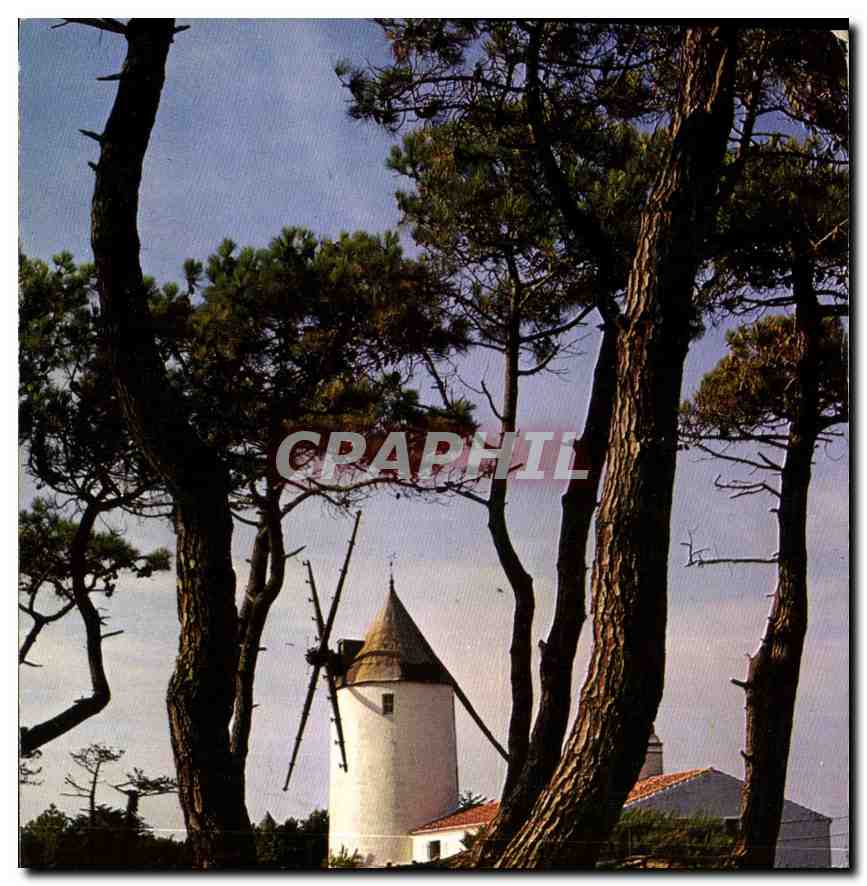 CPM Ile de Noirmoutier un des moulins de l'Ile 