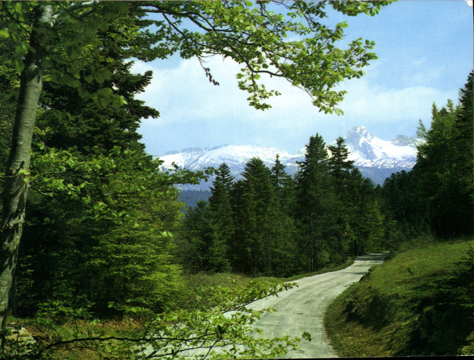 CPM Les Alpes touristique Villard de Lans Isere Promenade a Bois Barbu au fond la Moucherolle 