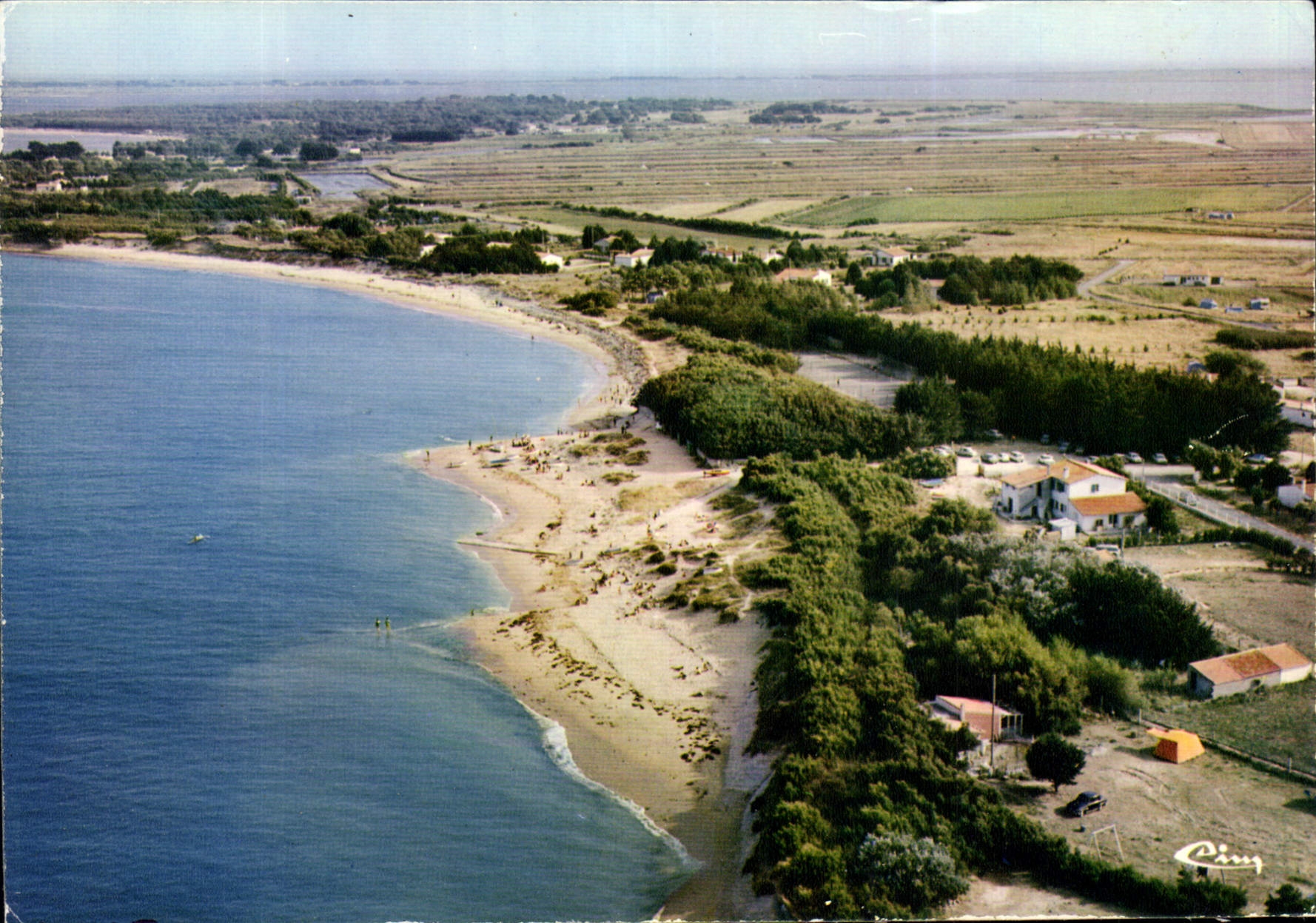 CPM Ile de Re Les Portes en Re Char Mar vue aerienne Gros plan sur la plage du Gros Jonc 