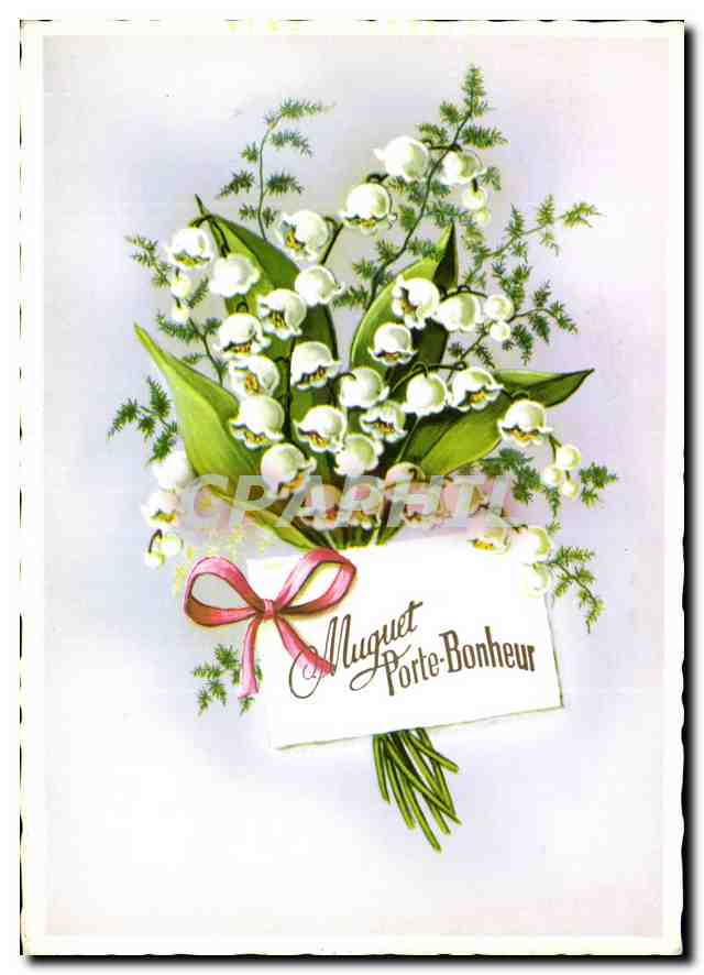 CPM Muguet Porte Bonheur Fleurs