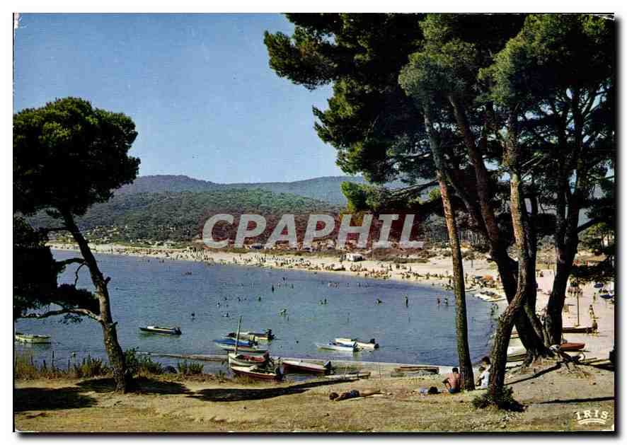CPM La Cote d'Azur Environs du Lavandou Var Bormes les Mimosas 