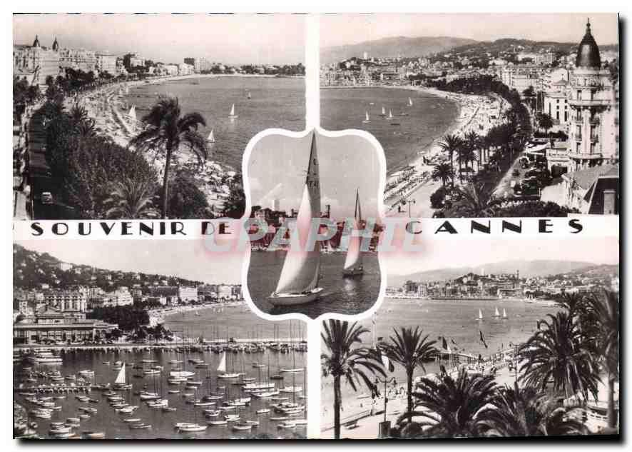 CPM La Cote d'Azur Cannes 