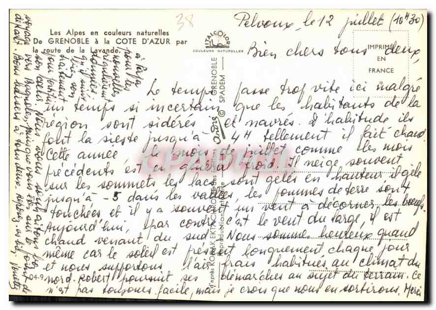 Lavande en fleur — vue sous un chêne — André, éditeur — Reverso