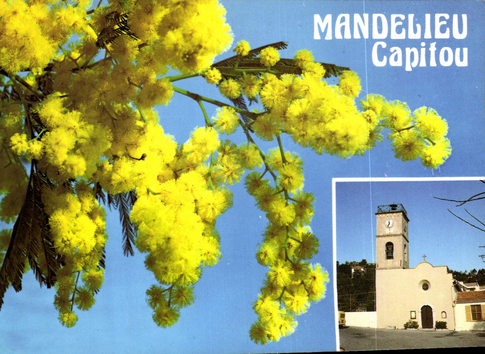 CPM Mandelieu Capitou Capitale du Mimosa 