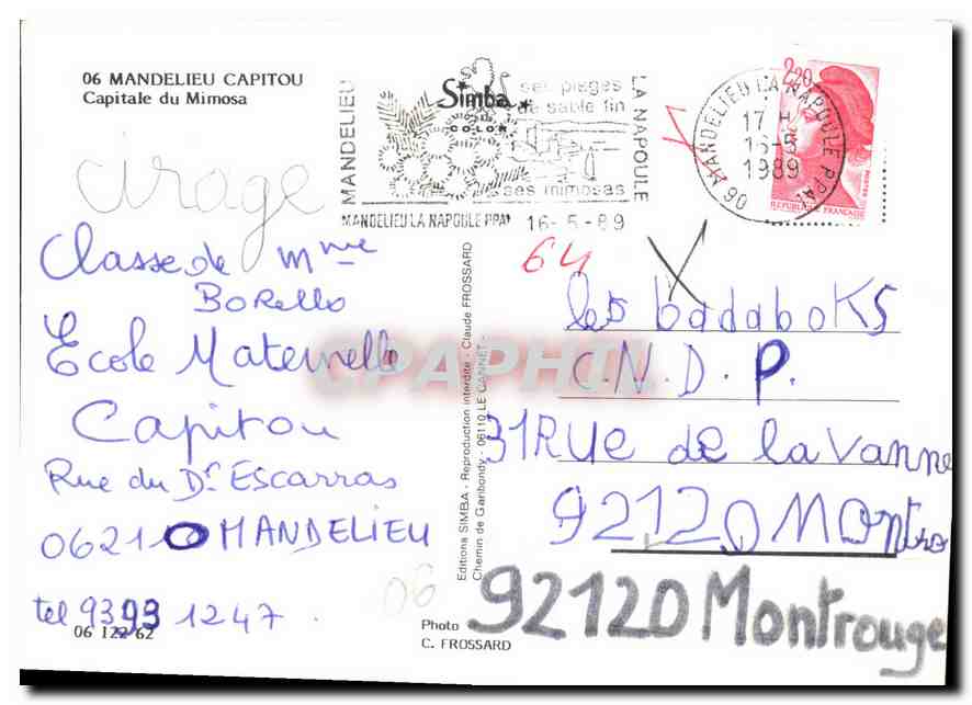 CPM Mandelieu Capitou Capitale du Mimosa  — Verso