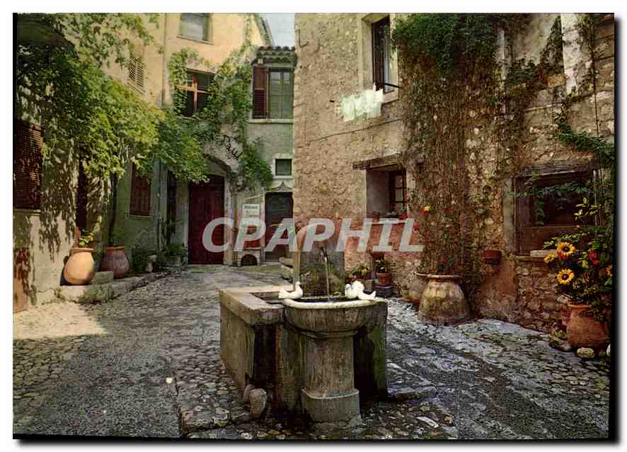 CPM Saint Paul Cote d'Azur la Placette Fontaine aux colombes 
