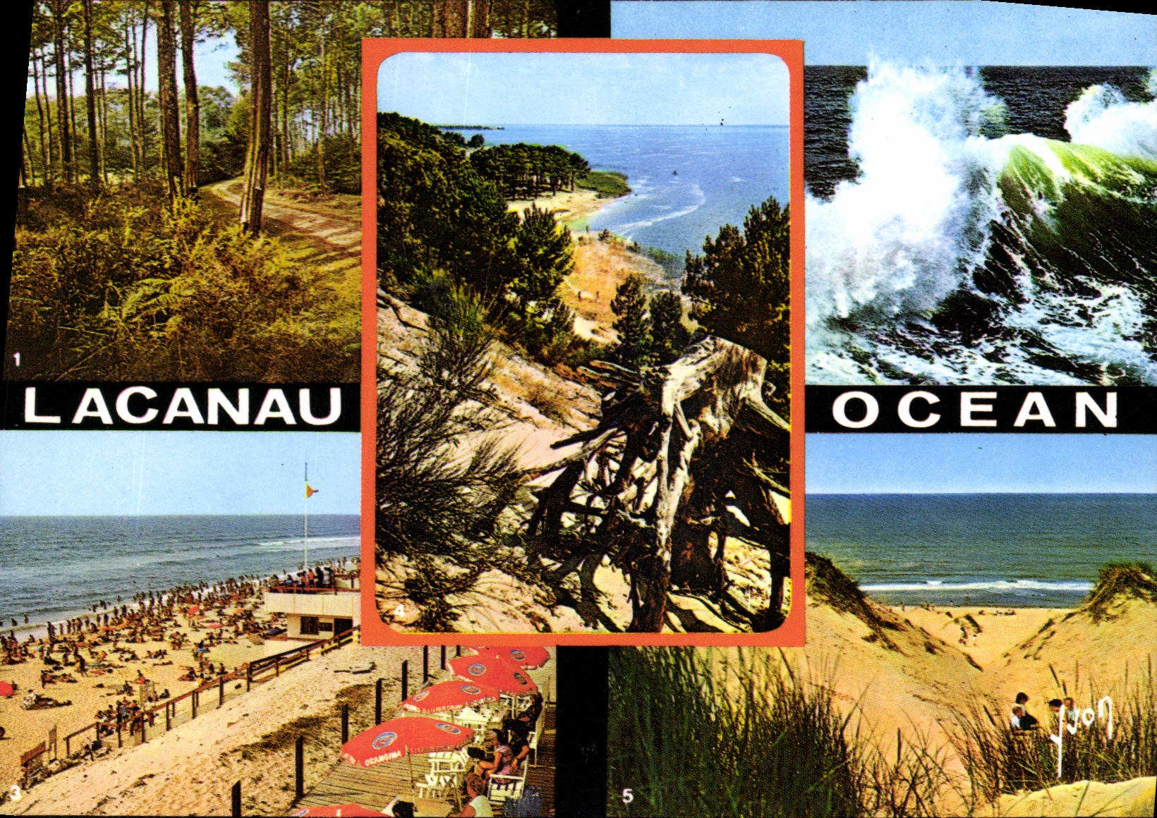 CPM Couleurs et lumiere de France Cote Aquitaine Lacanau Ocean Gironde route dans la Foret Effet de 