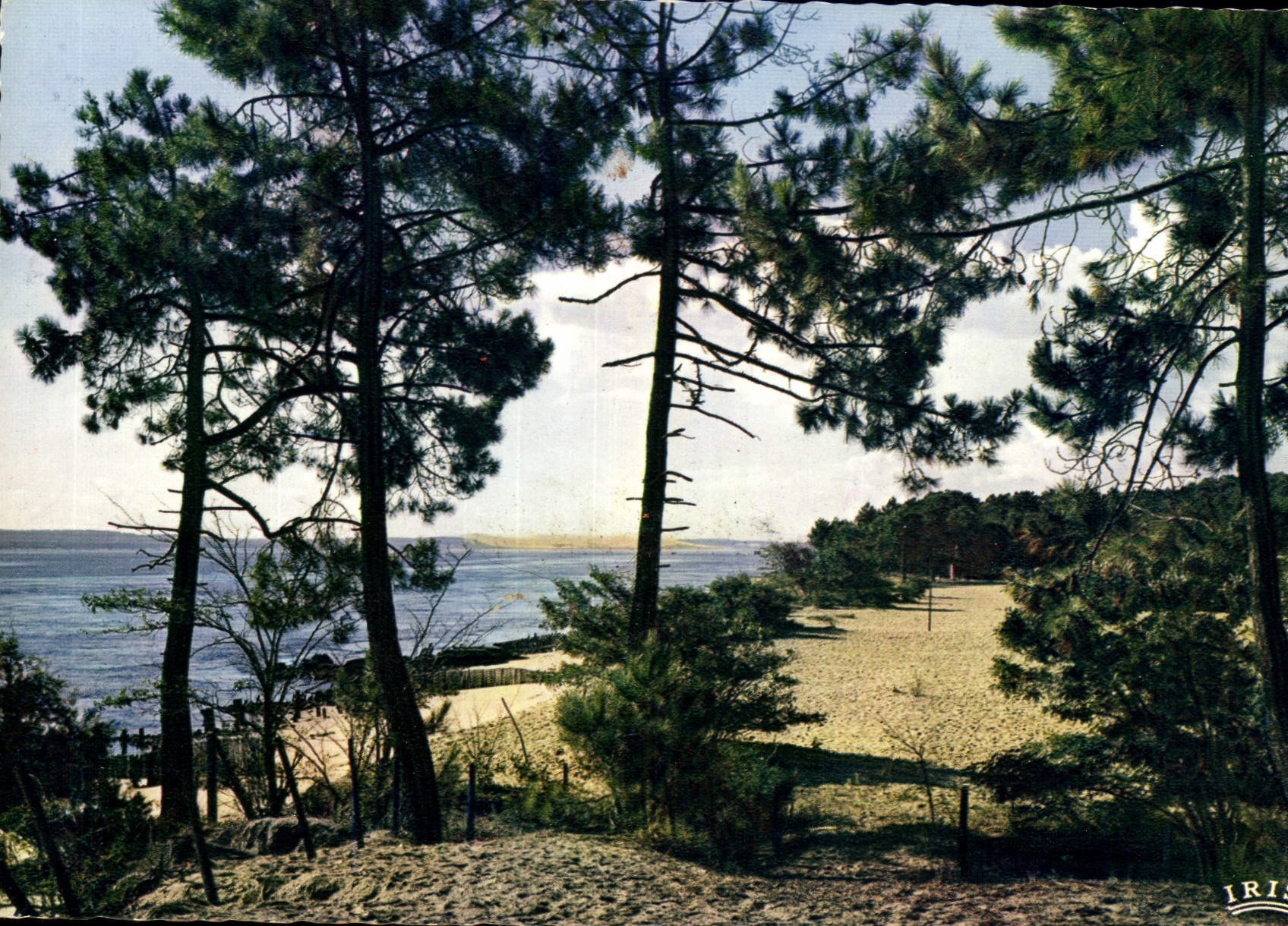 Bassin d'Arcachon — vue de la côte du Pilat — éditeur Mexichrome, n° 23