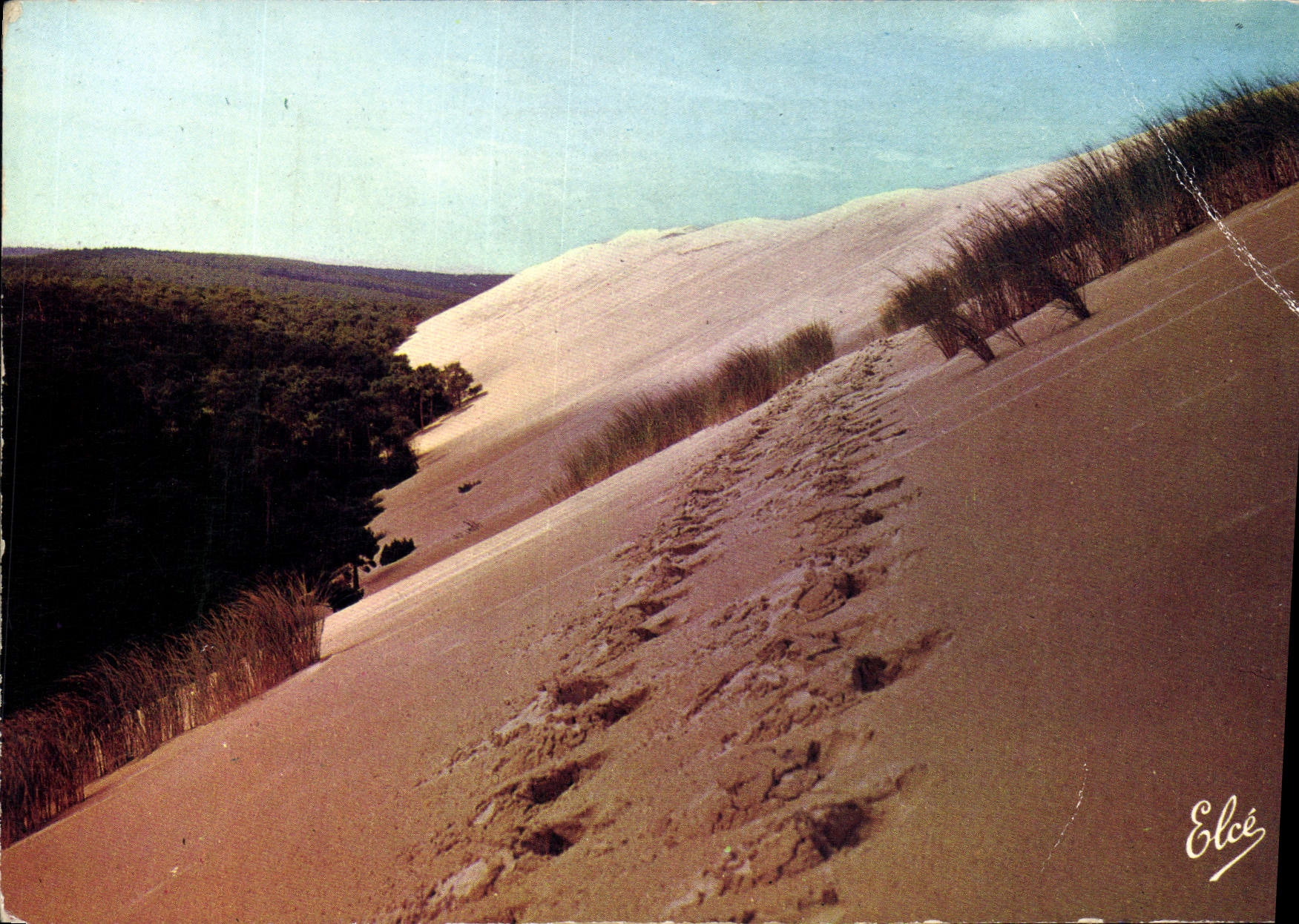 Dunes du Pyla — la plus haute d'Europe — Éditeur Elcée, N° 187