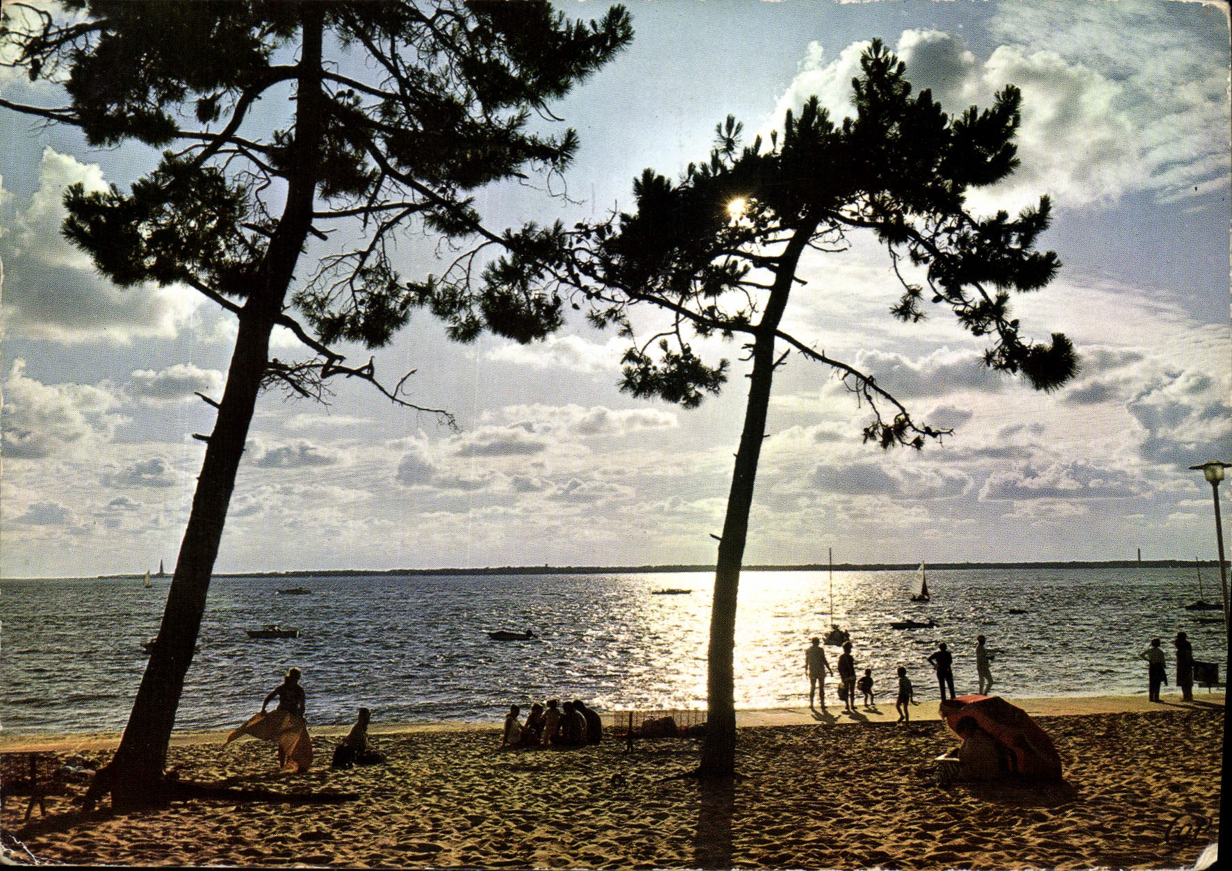 Côte d'Argent - Coucher de Soleil à travers les Pins — Ektacar, Arcachon