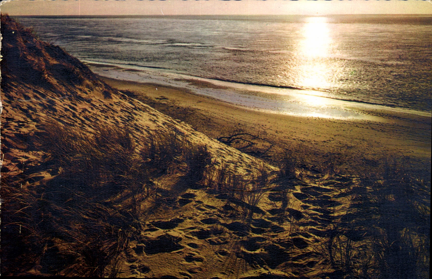 Bassin d'Arcachon — Au pied des dunes, contre-jour sur la baie — Éditions Médoc & Phalène, n°189