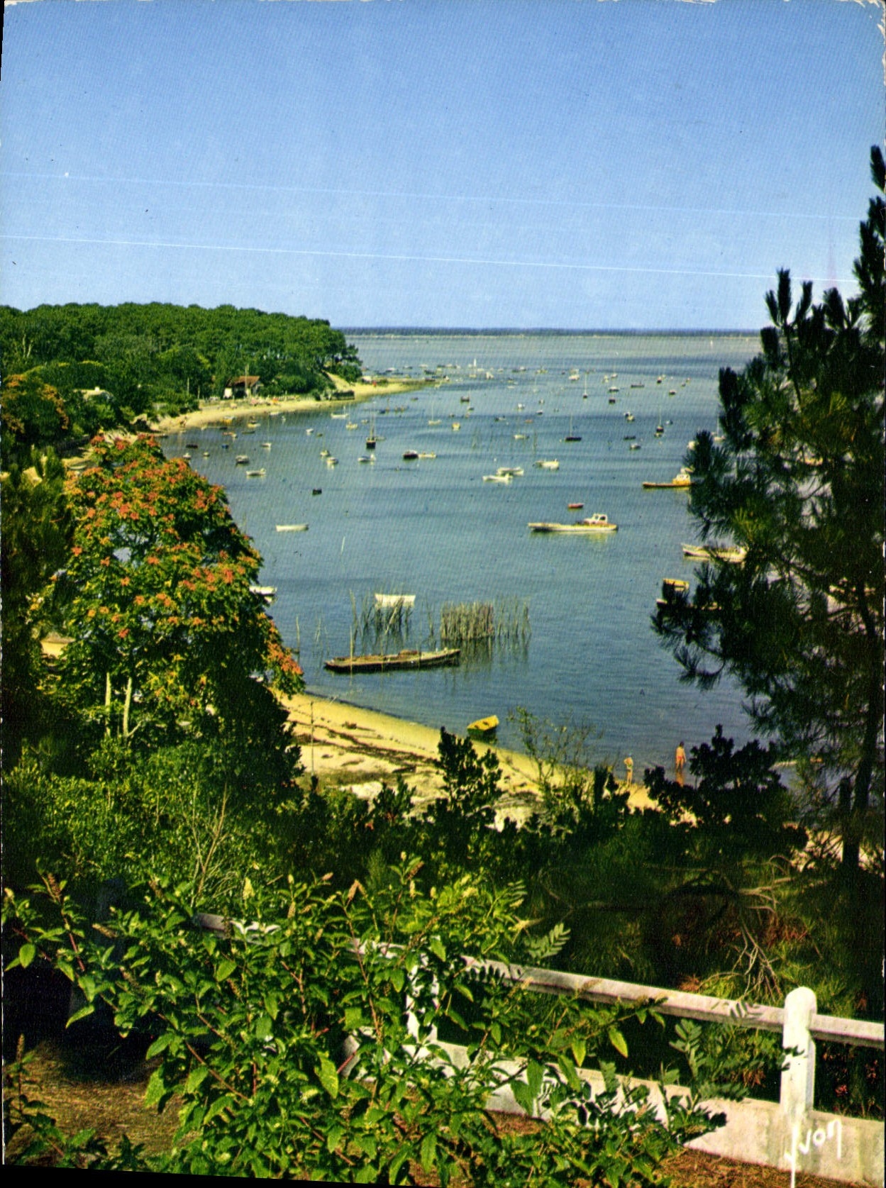 Bassin d'Arcachon — La Pointe aux Chevaux — Éditions Jean-Jaulas