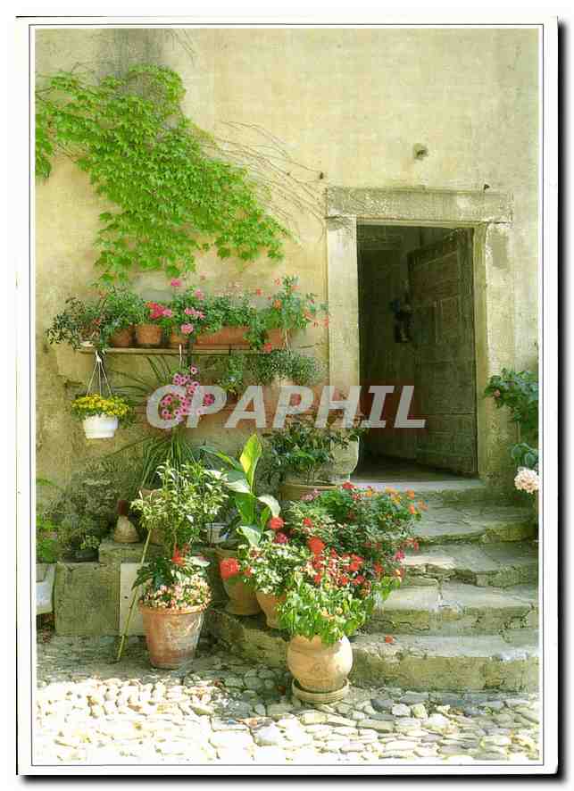 CPM Paysage Ardechois Image fleurie 