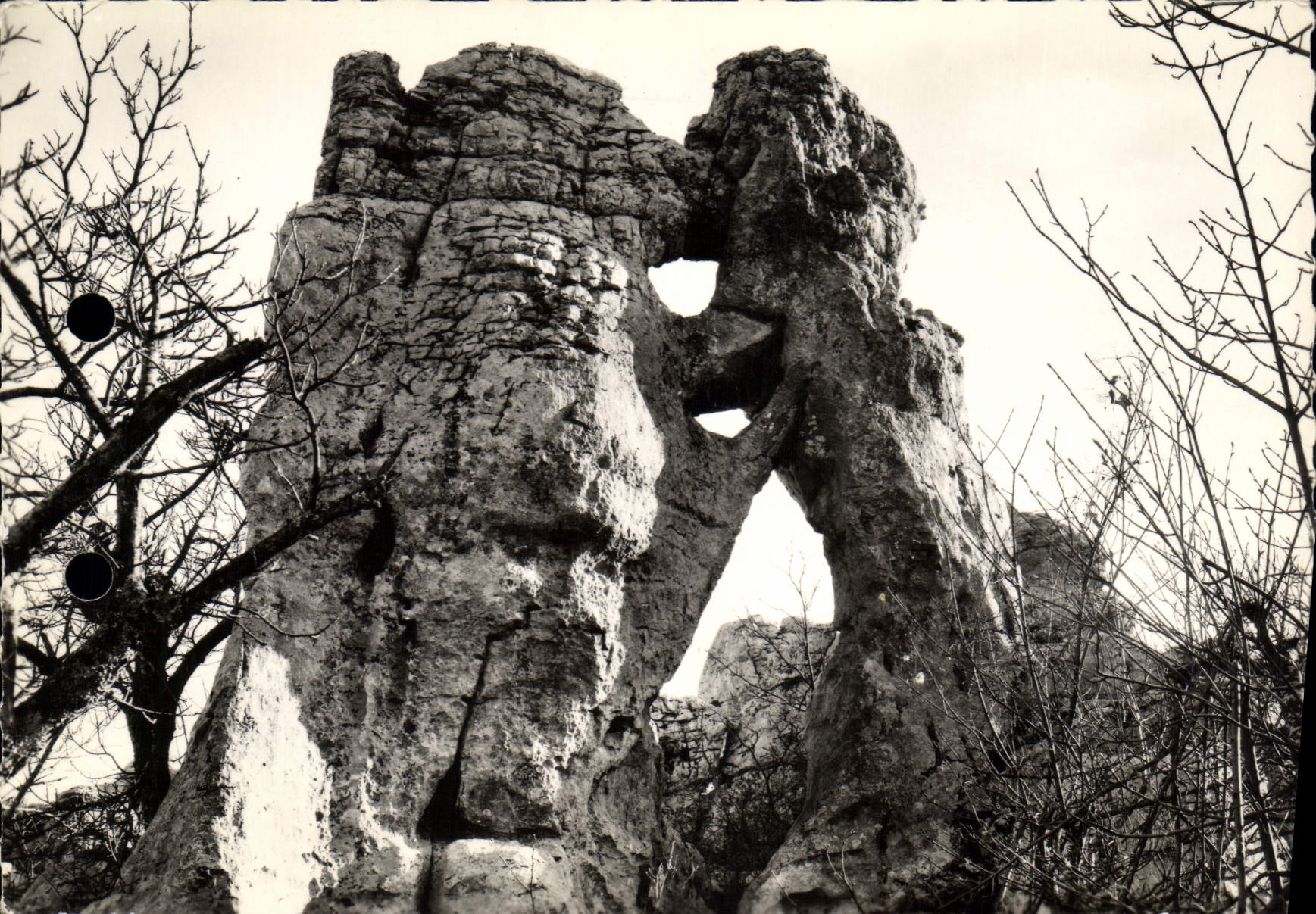 CPM Paysages du Vivarais Le Bois de Paiolive 