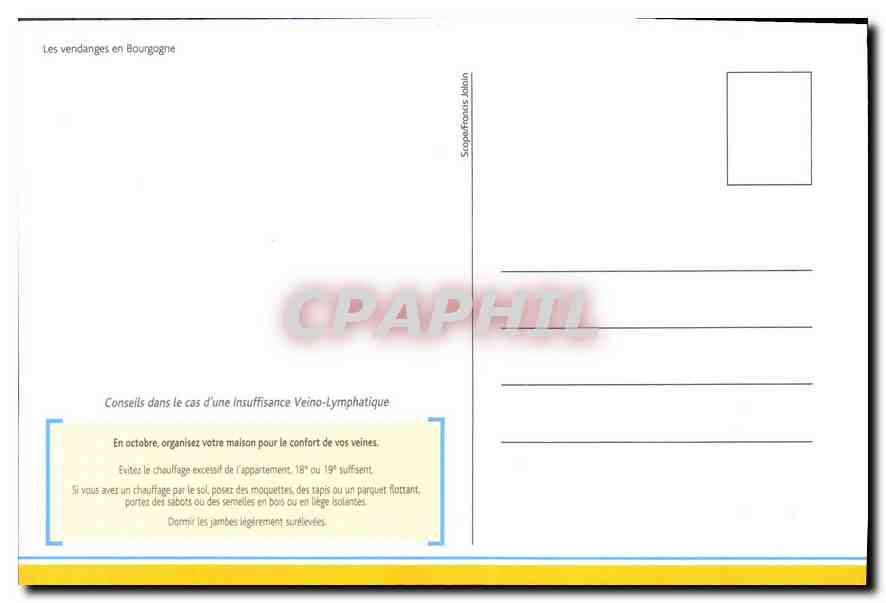 Die Weinlese in der Burgunder — Verlag Scopepharm Jalin — Rückseite
