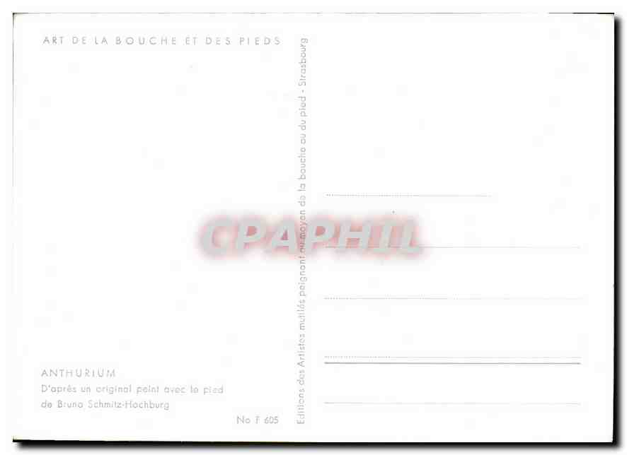 CPM Anthurium peint avec le pied  — Verso