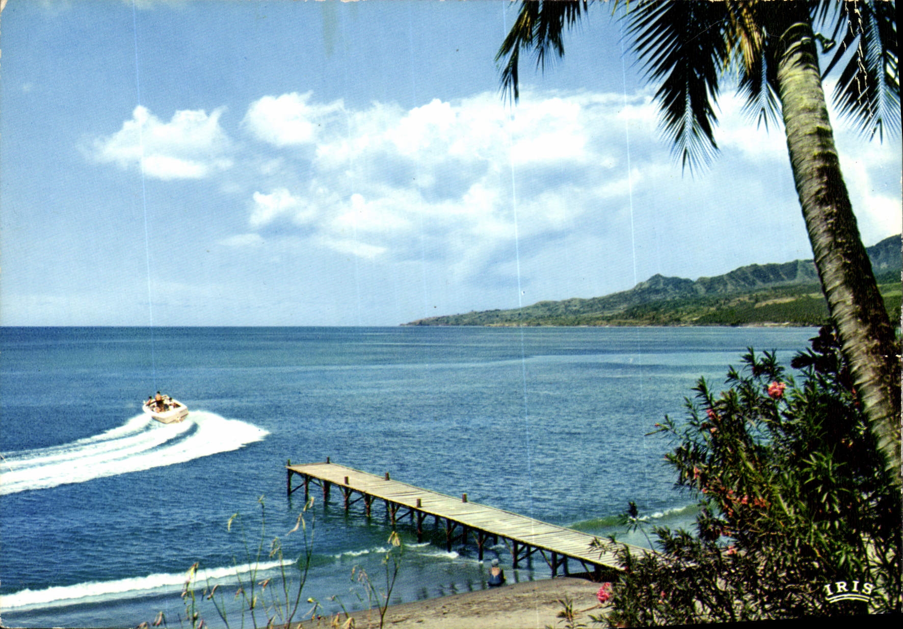 CPM Antilles Radieuses La mer des Caraibes 