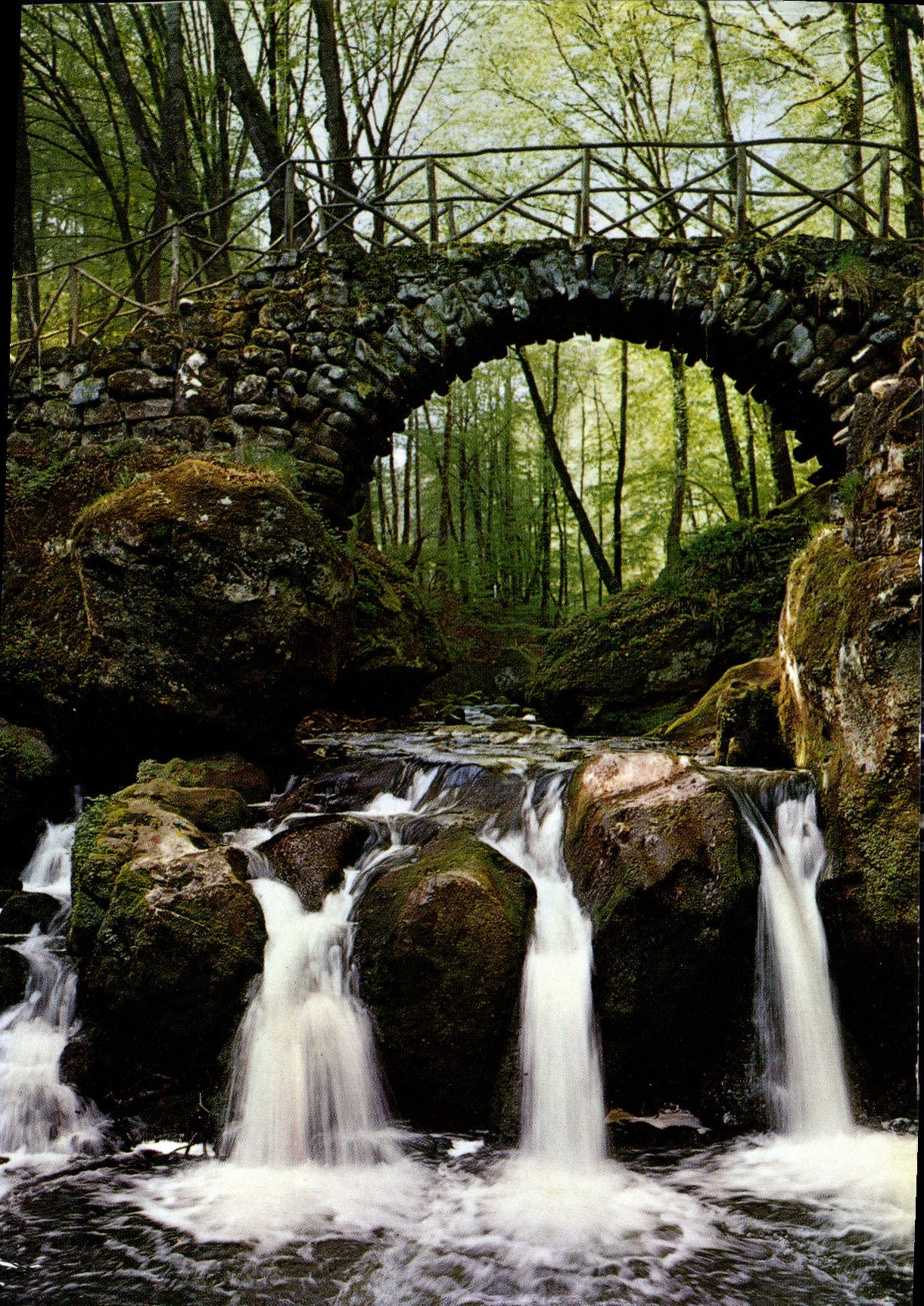 Cascade du Schiessentümpel au Müllerthal — Petite Suisse luxembourgeoise — Publisher E.A. Schiaack, No. 1207
