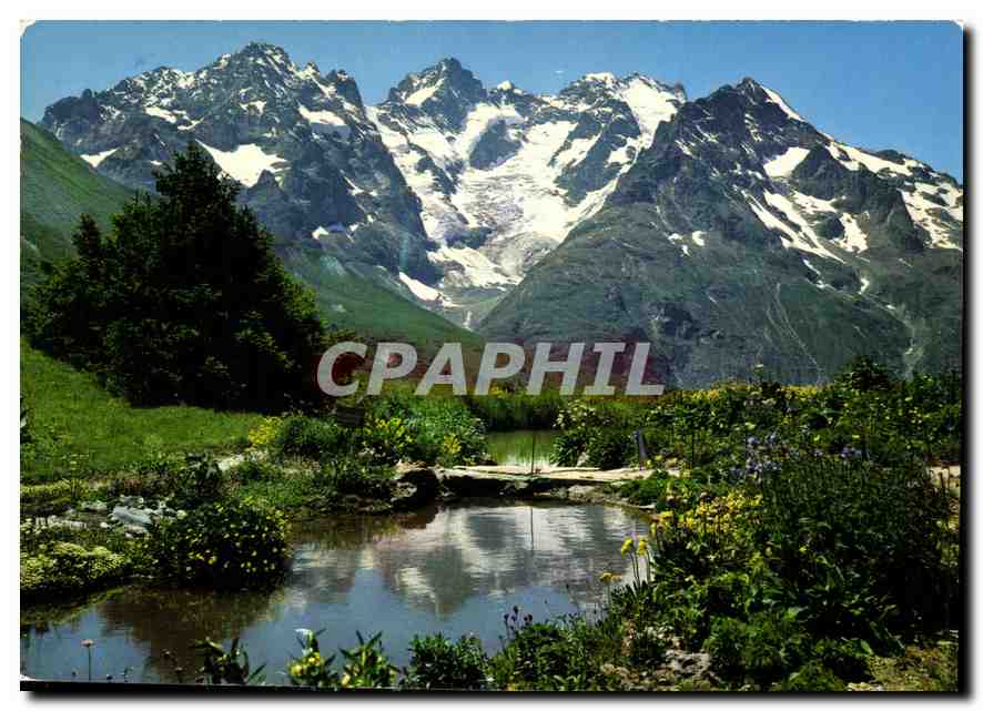 Der Alpinergarten am Col du Lautaret — Massif de la Meije — Verlag CPAPHIL