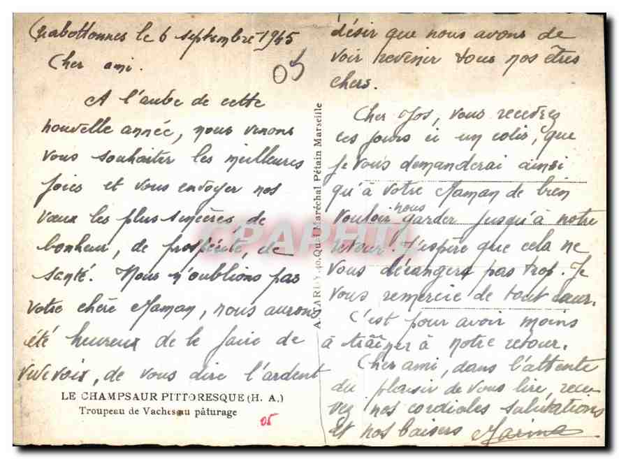 Pâturage alpin — Troupeau de vaches — Le Champsaur Pittoresque (H.A.) — Reverso