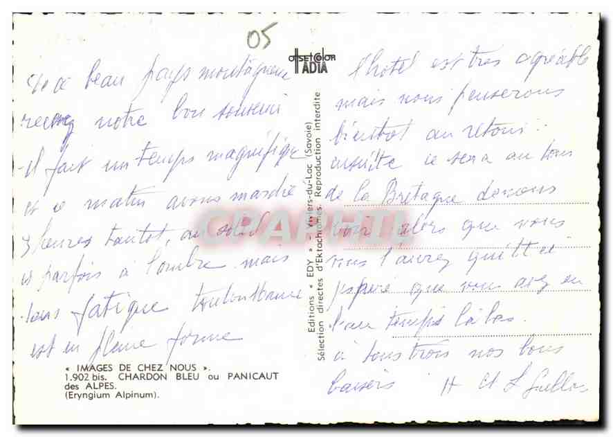 CPM Images de Chez Nous Chardon Bleu ou Panicaut  — Rückseite