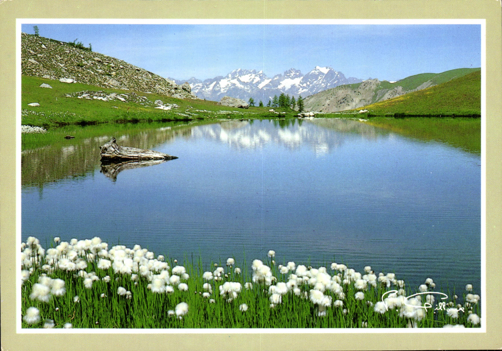 CPM Regard sur la montagne Lac du Laucet Dans le fond le Massif des Ecrins 