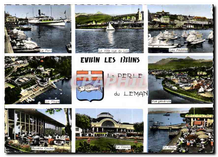 CPM Evian les Bains La Perle du Leman 