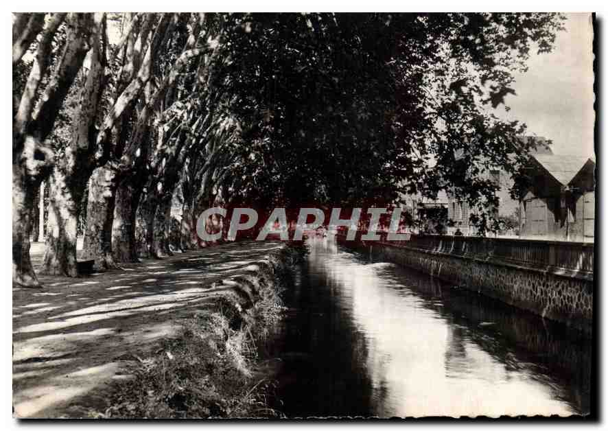 CPM Brive Correze Les Allees de la Guierle et le Canal 