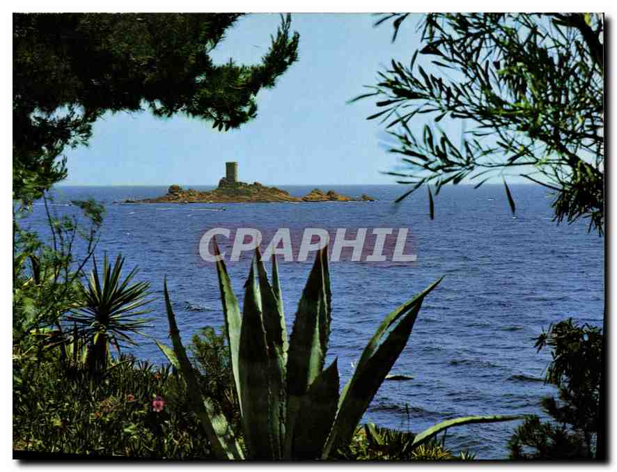 CPM Cote d'Azur Le Dramont L'Ile d'Or 