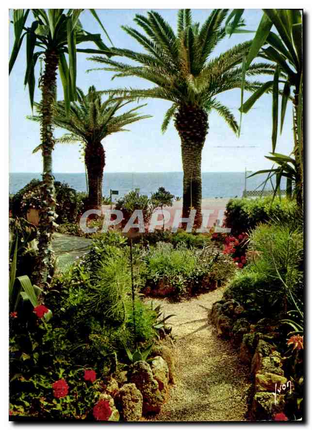 CPM La Cote d'Azur miracle de la nature Jardin fleuri 