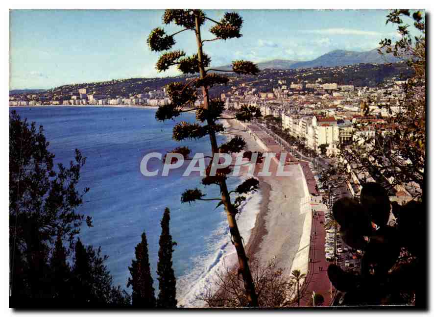 CPM Au Soleil de la Cote d'Azur Nice Vue generale 