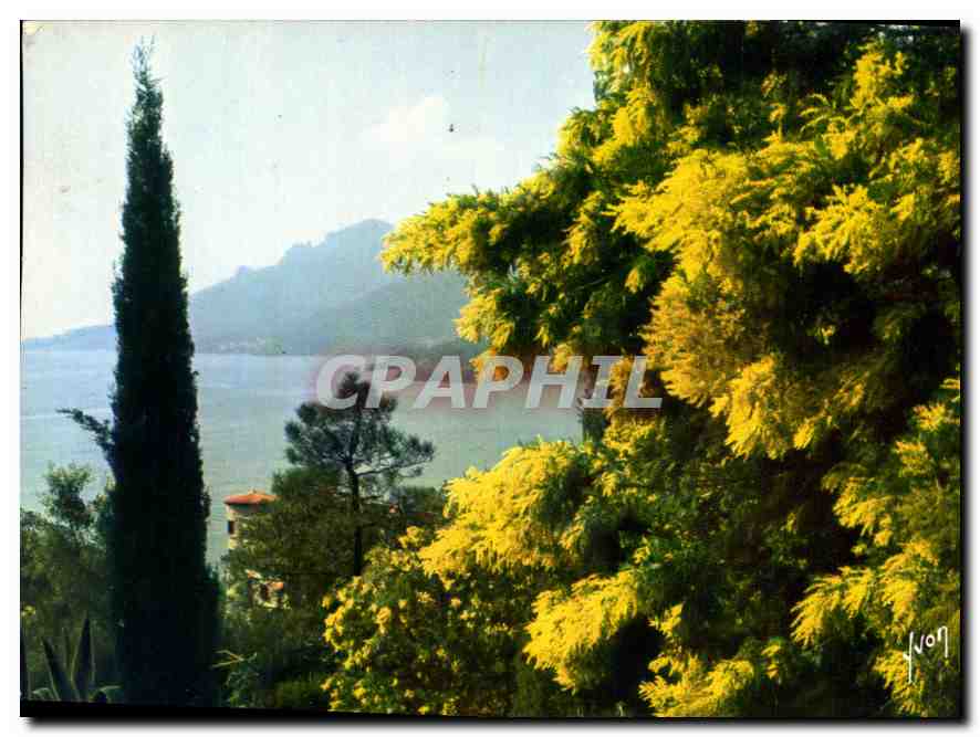 Préfecture de la Côte d'Azur — Printemps sur la Côte d'Azur — Éditions E.K.B. 436