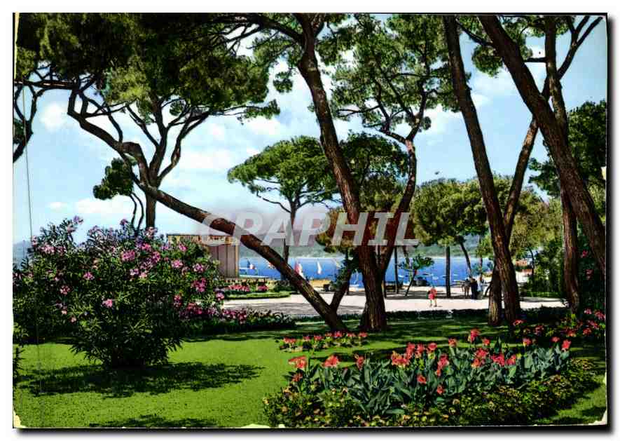JUAN-LES-PINS — La Pinède — Éditeur Graphiphil, n° 44
