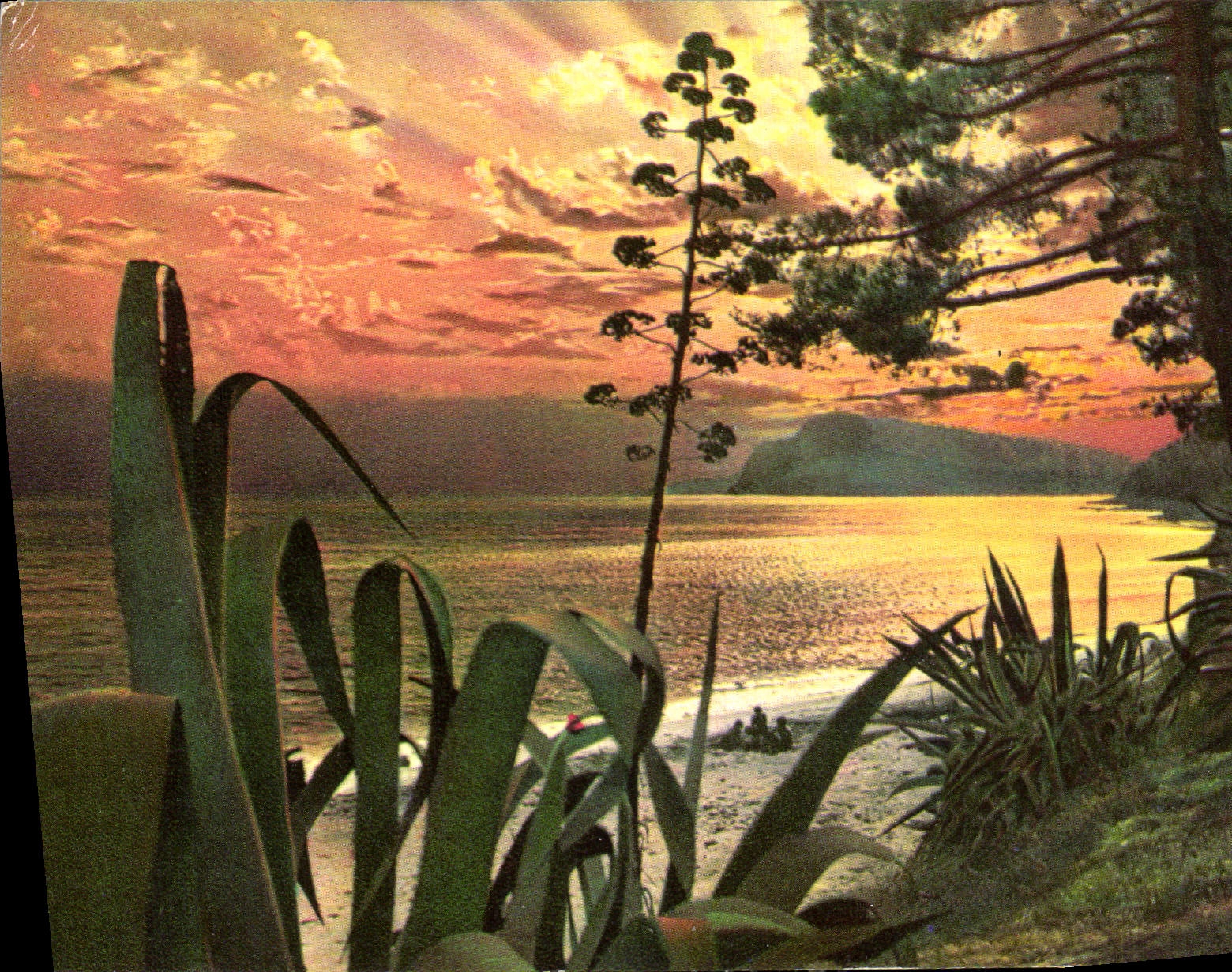 CPM Les Joyaux de la Mediterranee Quand le soleil met sa parure de pourpre et d'Or 