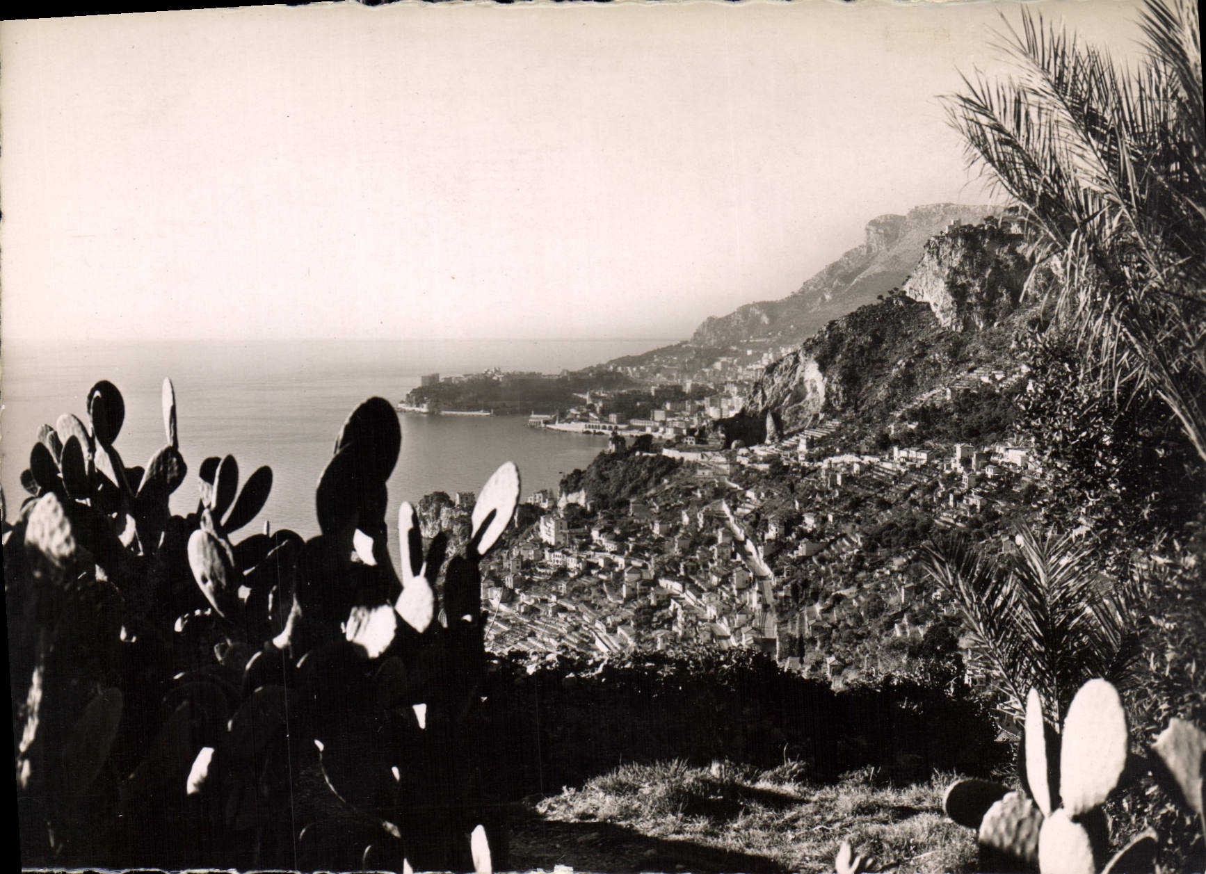 CPM Roquebrune Cap Martin Vue sur le Quartier Bon Voyage 