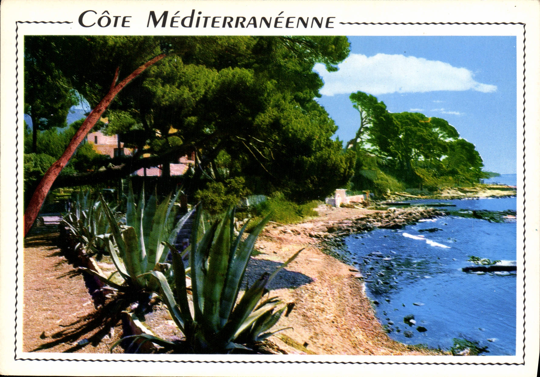 CPM Cote Mediterranee Calanques et pinedes 
